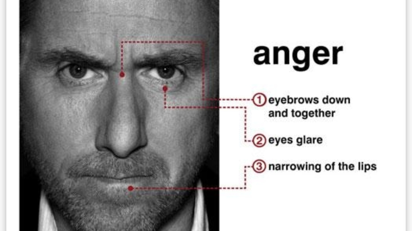 imagesbaza_anger-tim-roth
